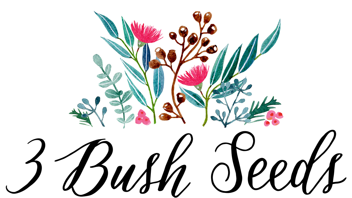 3 Bush Seeds